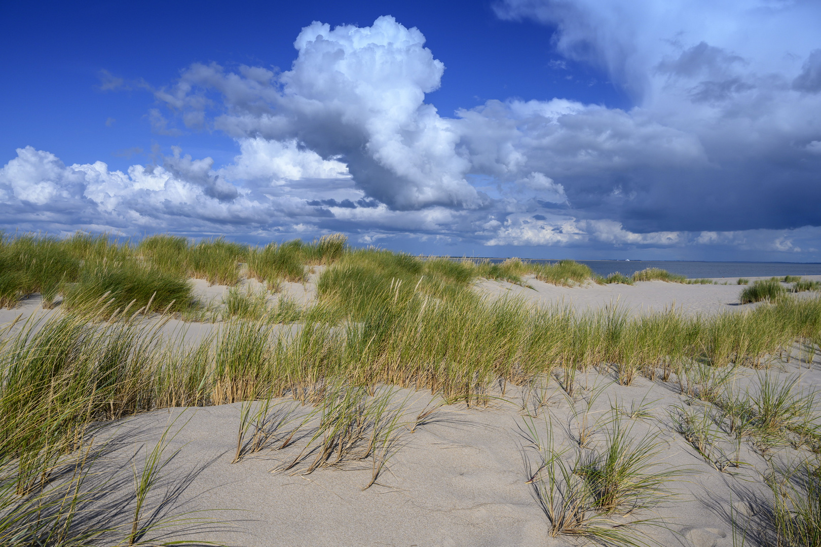 Sylt_Strand_Ellbogen