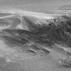 Sylt_Strandhafer_3901