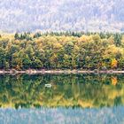 Sylvenstein-Stausee im Herbst