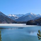 Sylvensteinsee im März