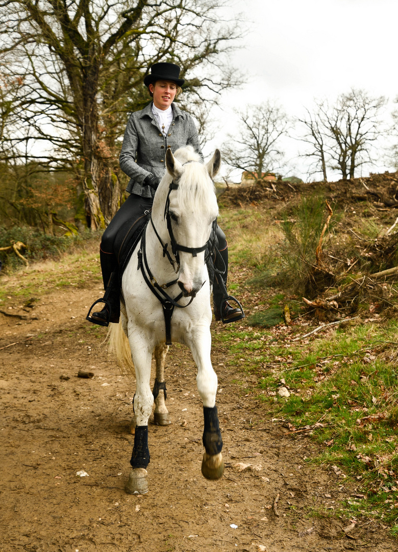 Sylvie  et le beau cheval Italien 