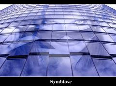 Symbiose