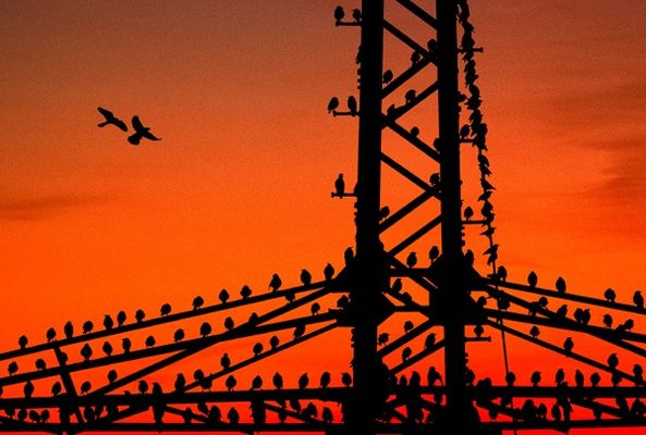 Symbiose von Natur und Technik!