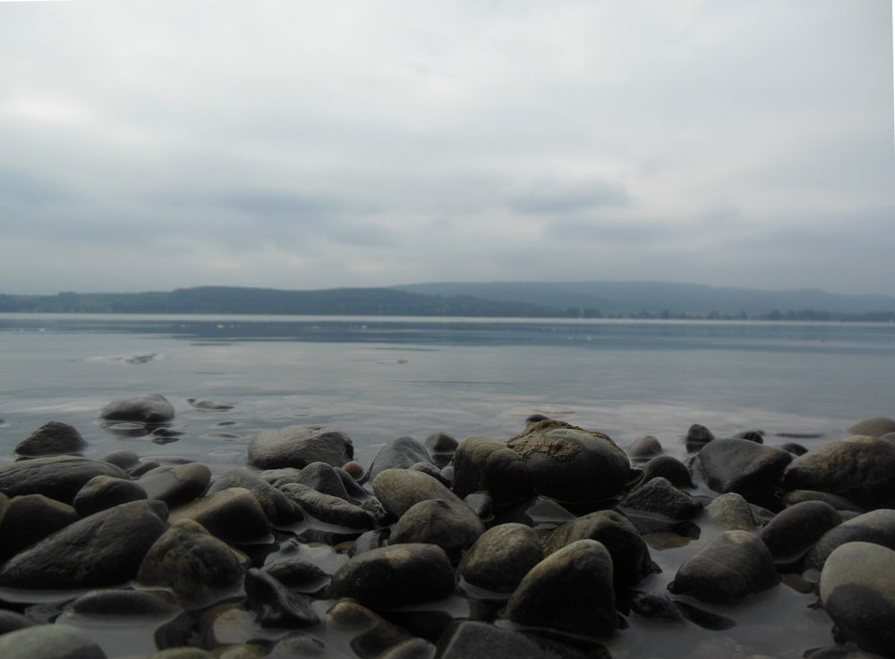 Symbiose - Wasser und Stein (Mettnau, Bodensee)