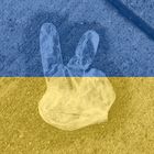 Symbolbild: Frieden für die Ukraine