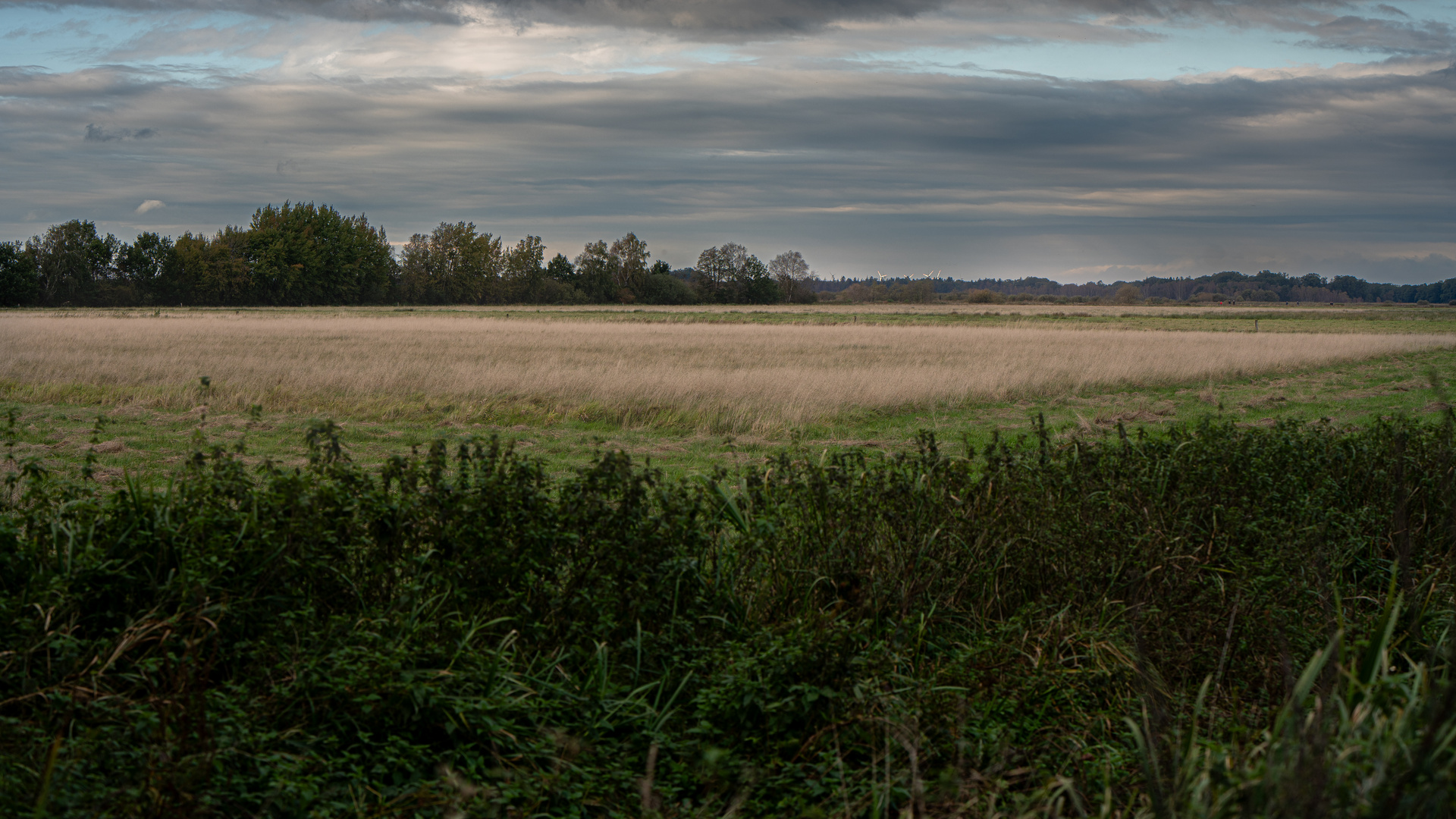 Symetrie im Herbst