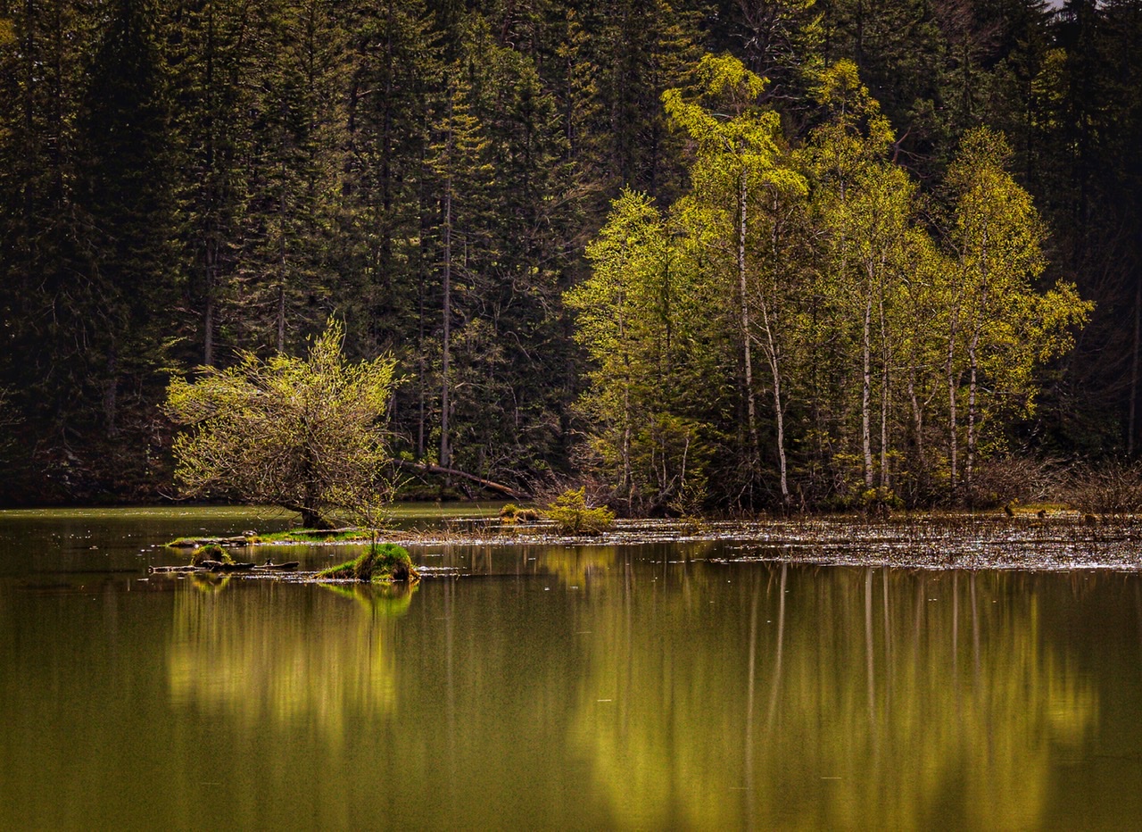 Symmetrical Nature