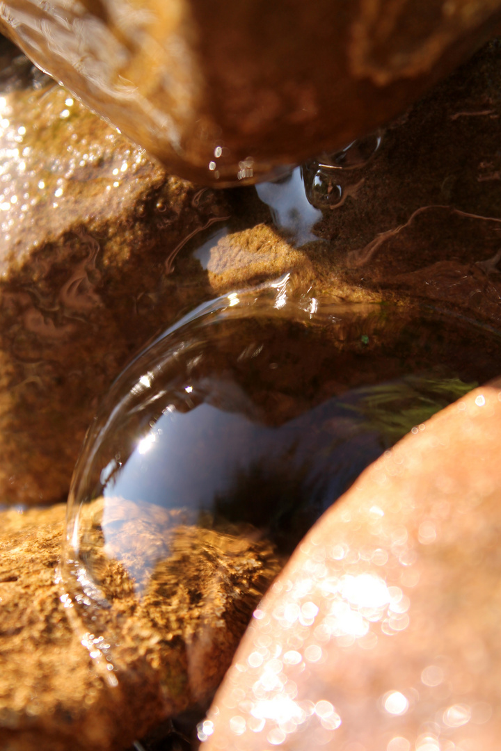 Symmetriestreben der Natur