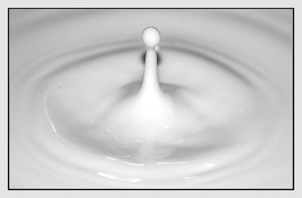 Symmetrische Milch