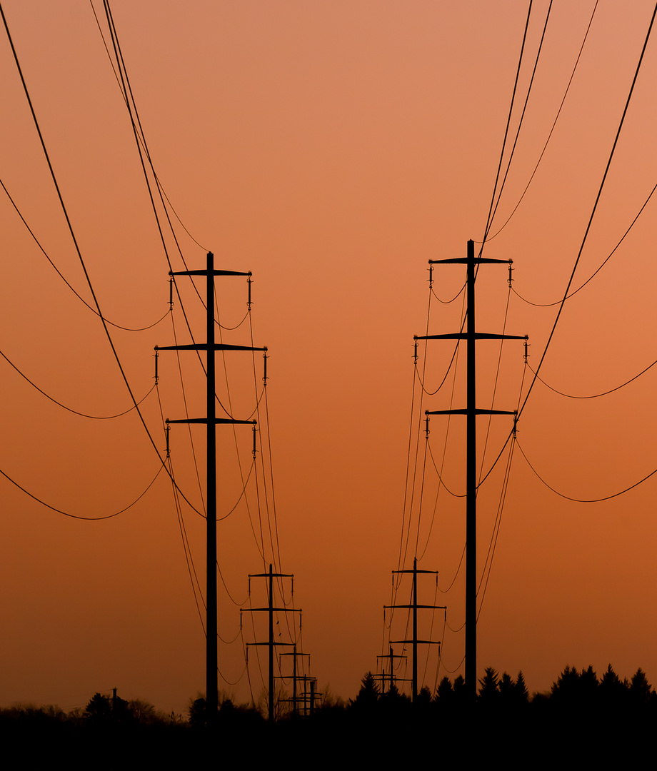 "Symmetry of electricity poles in the sunset"