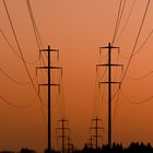 "Symmetry of electricity poles in the sunset"