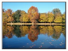 symphonie d automne au lac puccini