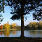 Symphonie de couleurs d’automne sur le lac de Mauvezin - Gers