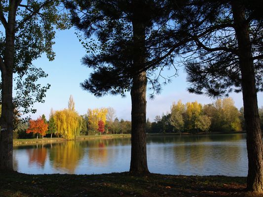 Symphonie de couleurs d’automne sur le lac de Mauvezin - Gers