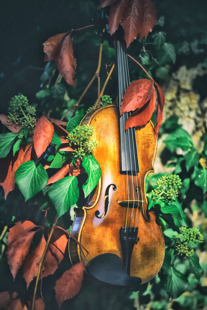 Symphonie des Herbstes