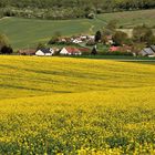 symphonie du printemps dans le Vexin normand