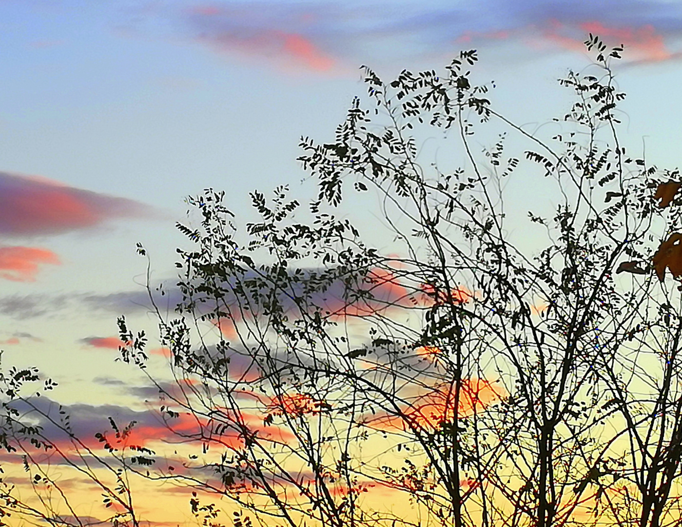 symphonie du soir ....