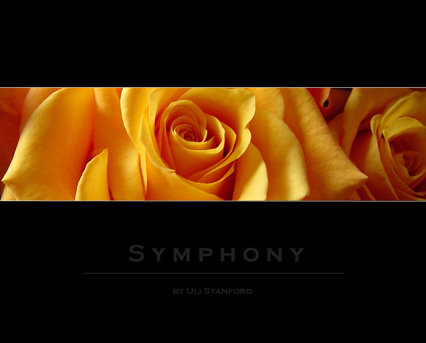 Symphony