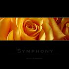 Symphony