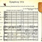 Symphony mit dem Fliegenklatsch (Pastorale Naturliebe)