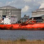 SYN ZAURA / LPG Tanker / Rotterdam