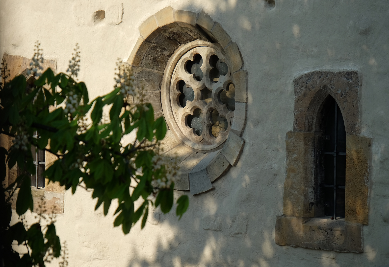 Synagogen - Fenster