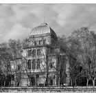 Synagogue of Rome