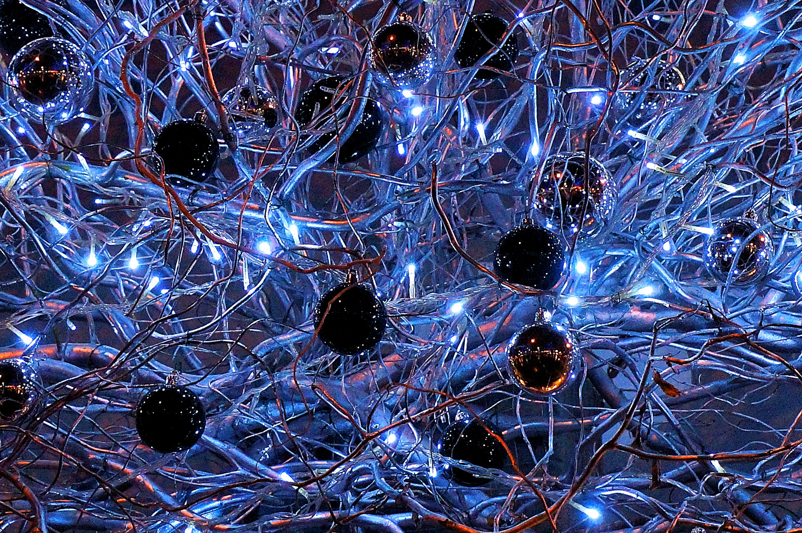 Synapses bleues .