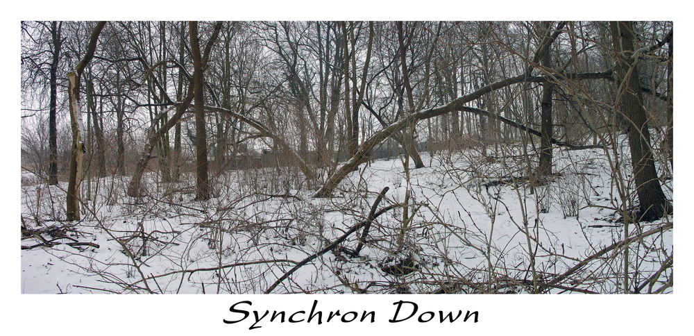 Synchron Down