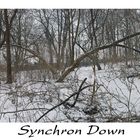 Synchron Down