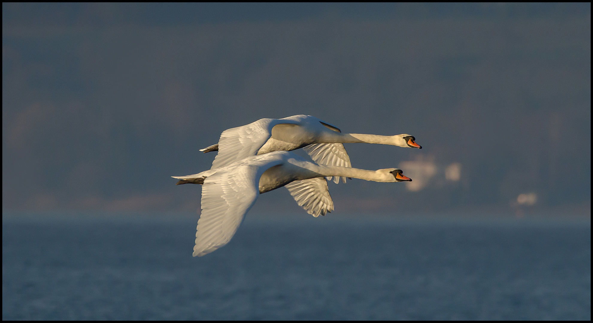  Synchronfliegen