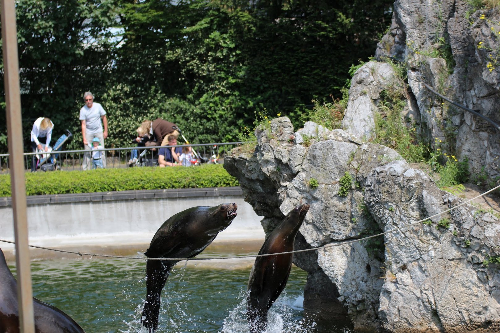 Synchronflug