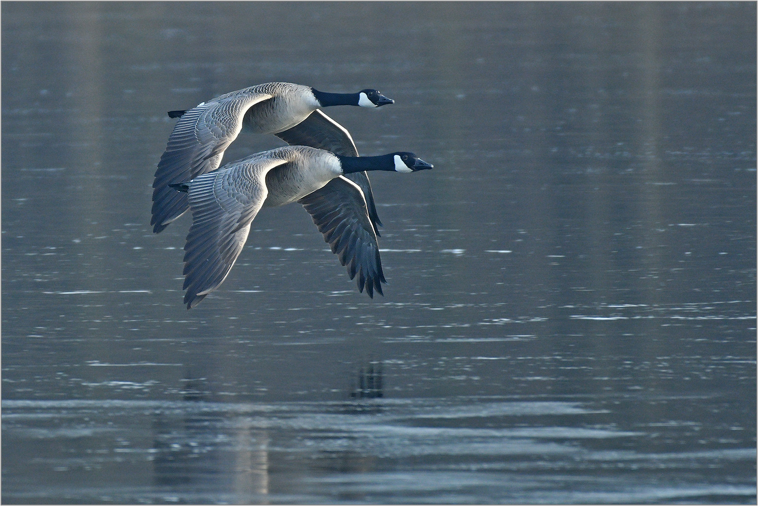 Synchronflug perfekt   . . .