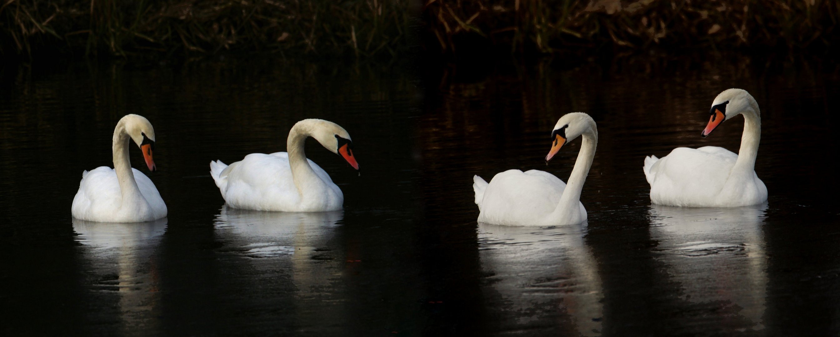 Synchroniesierte Bewegung.