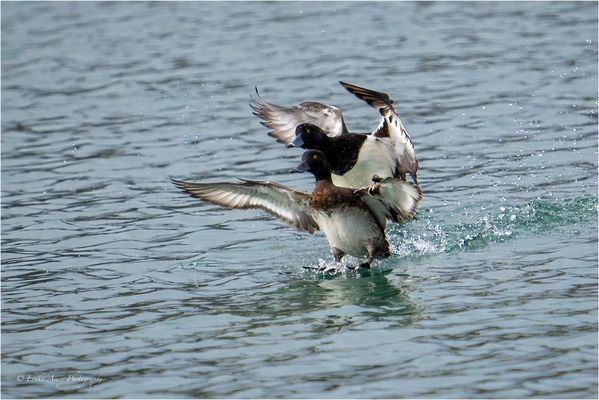 Synchronisierte Landung