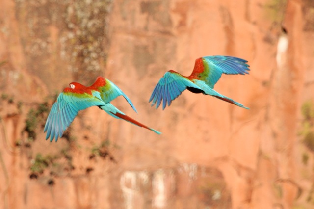 Synchronized flying