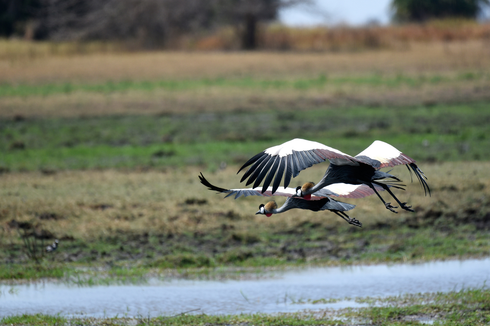 Synchronous flight