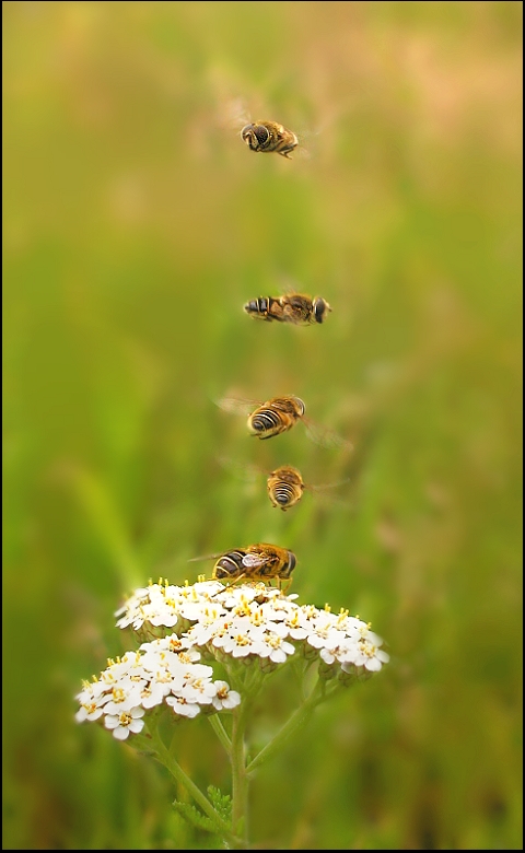 Synchronous flight