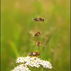 Synchronous flight