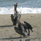 Synchronputzen am Strand von Valparaiso