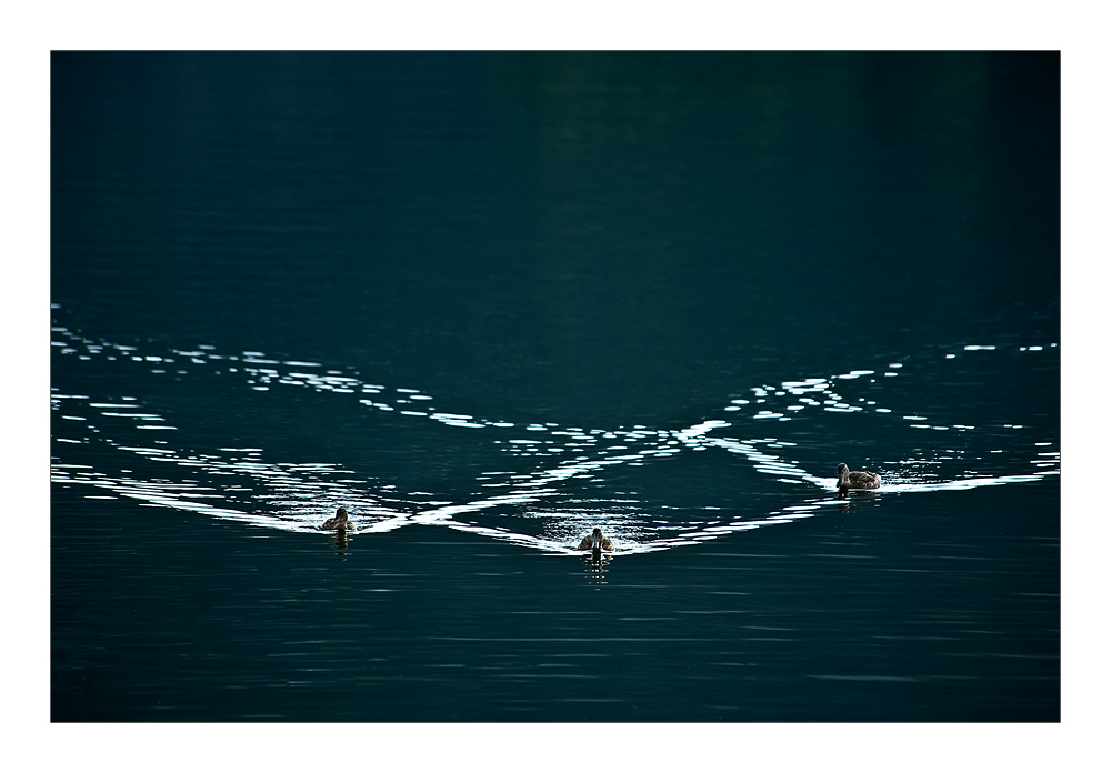 Synchronschwimmen