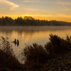 Synchrontauchen am Kuhsee