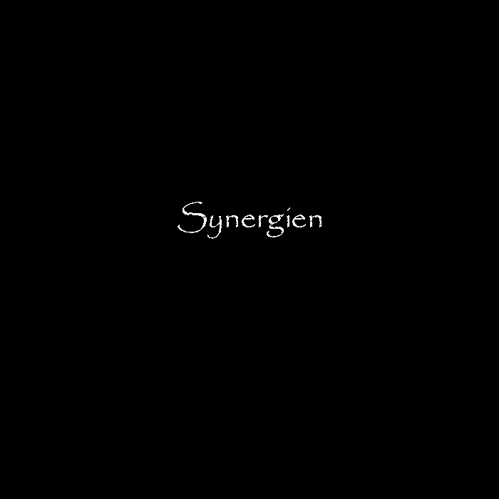 Synergien