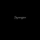 Synergien