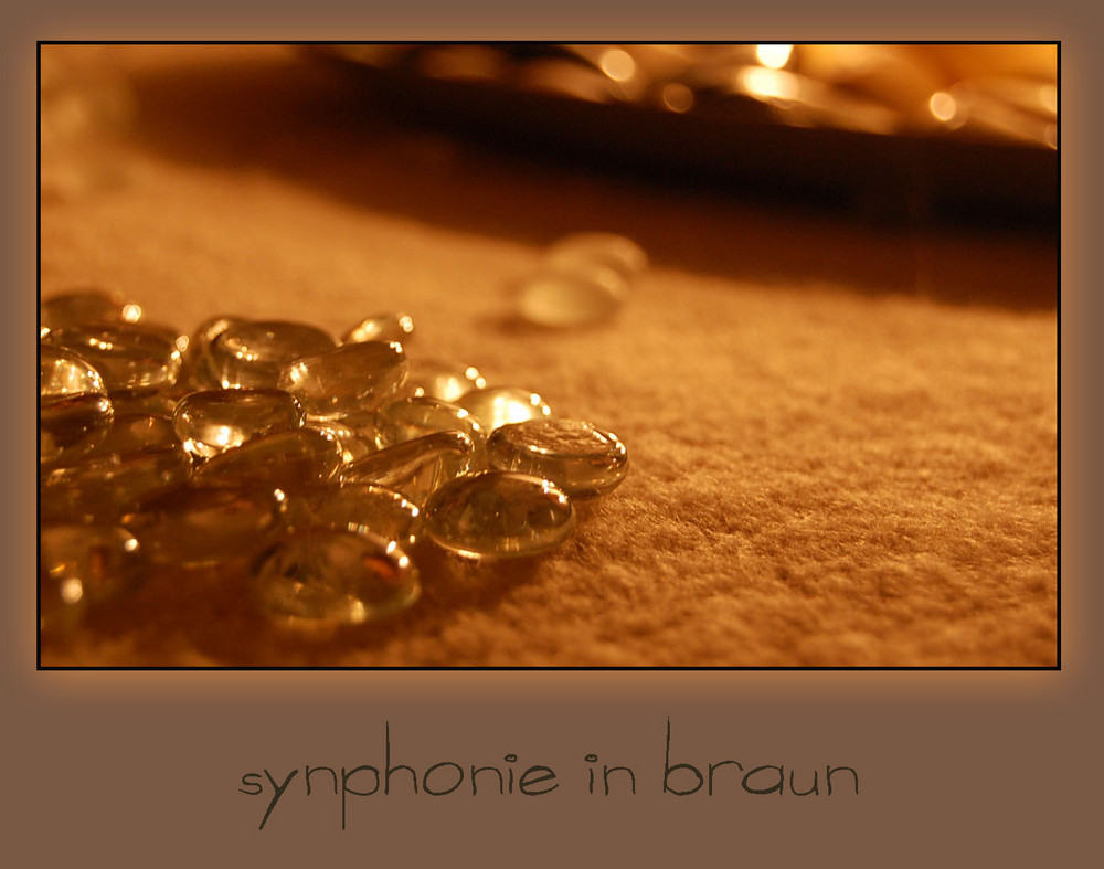 Synphonie in Braun