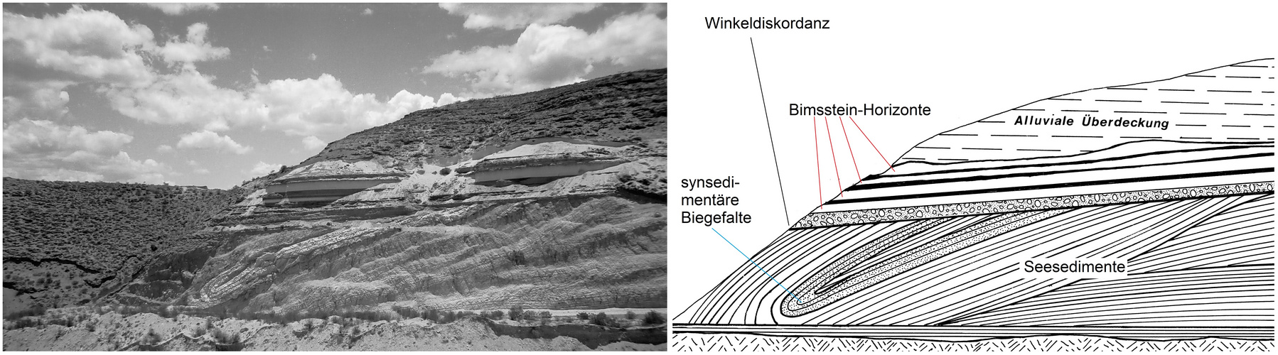 Synsedimentäre Biegefalte in Tuffiten