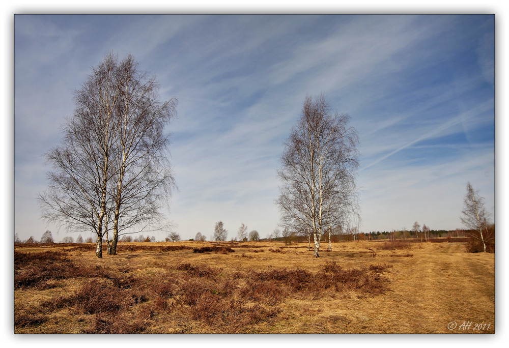 Syrauer Heide - 12.03.2011