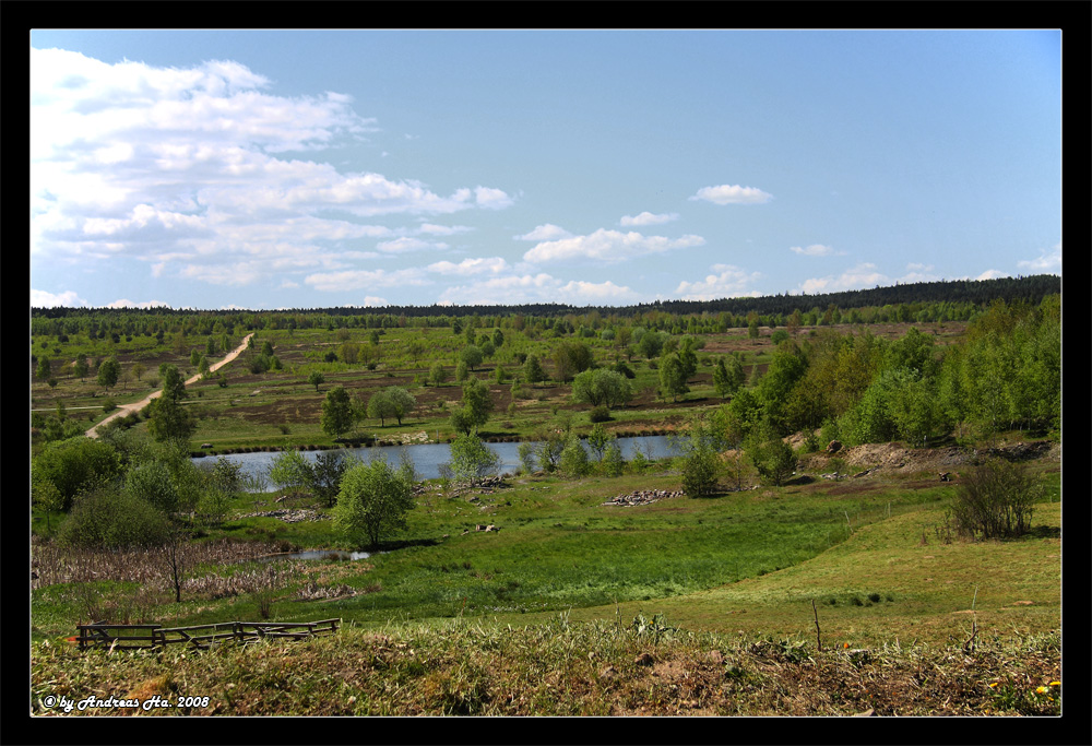 Syrauer Heide (3)