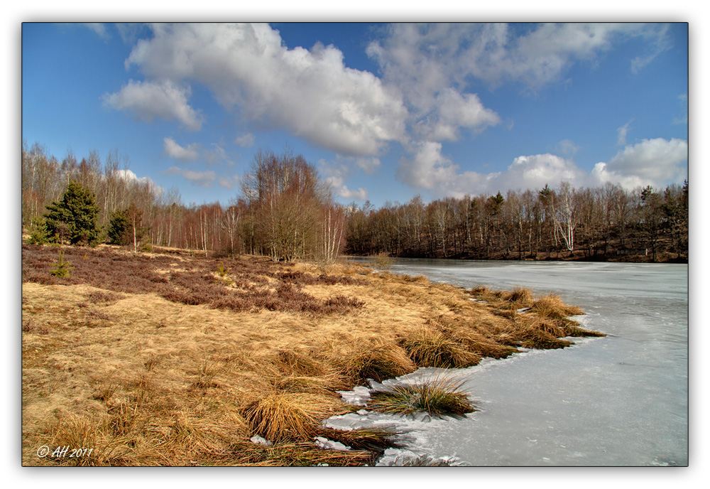 Syrauer Heide am 06. März 2011 - 2