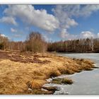 Syrauer Heide am 06. März 2011 - 2